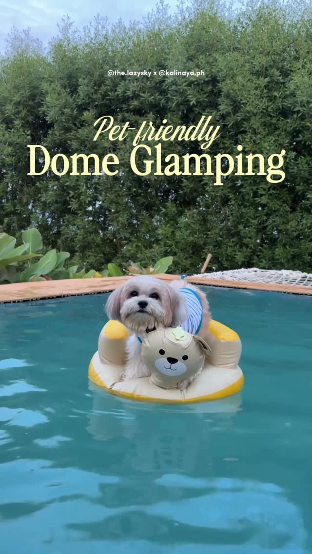 Pet-friendly glamping at Kalinaya — guests with their dog